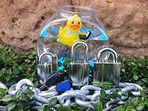   Super Weather Proof (SWP) padlocks  