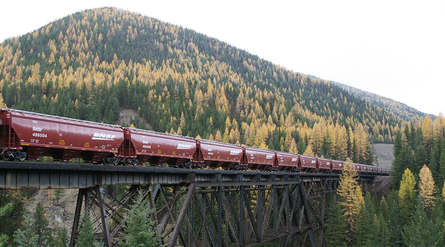 BNSF Grain Montana